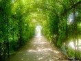 /album/schonbrunn/schonbrunn-zahrady-jpg/